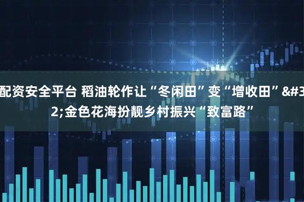 配资安全平台 稻油轮作让“冬闲田”变“增收田” 金色花海扮靓乡村振兴“致富路”