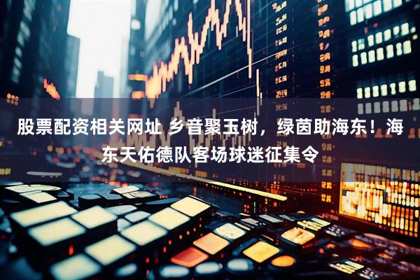 股票配资相关网址 乡音聚玉树，绿茵助海东！海东天佑德队客场球迷征集令