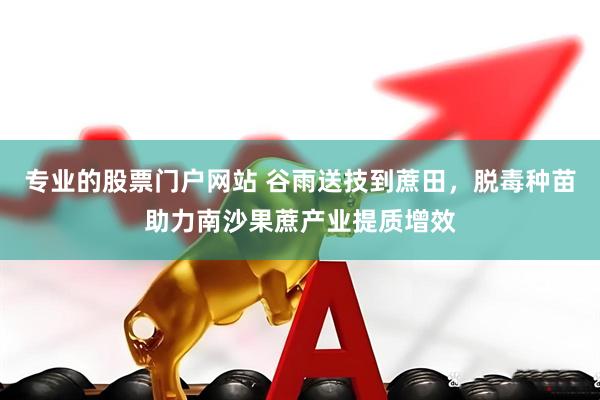 专业的股票门户网站 谷雨送技到蔗田，脱毒种苗助力南沙果蔗产业提质增效