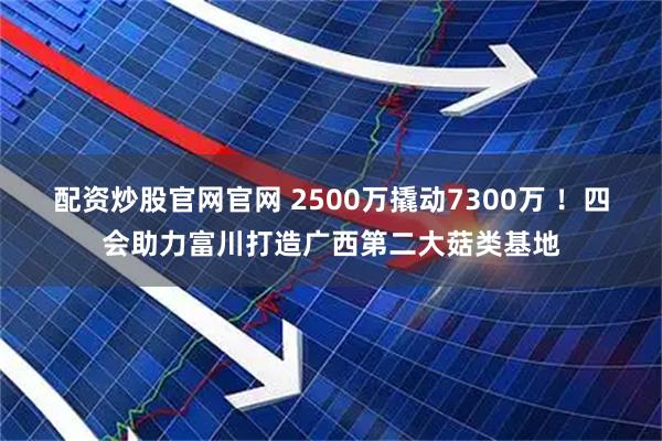 配资炒股官网官网 2500万撬动7300万 ！四会助力富川打造广西第二大菇类基地